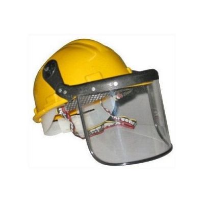Helmet with Face Shield